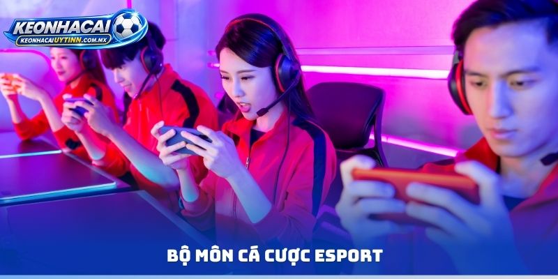 Bộ môn cá cược Esport