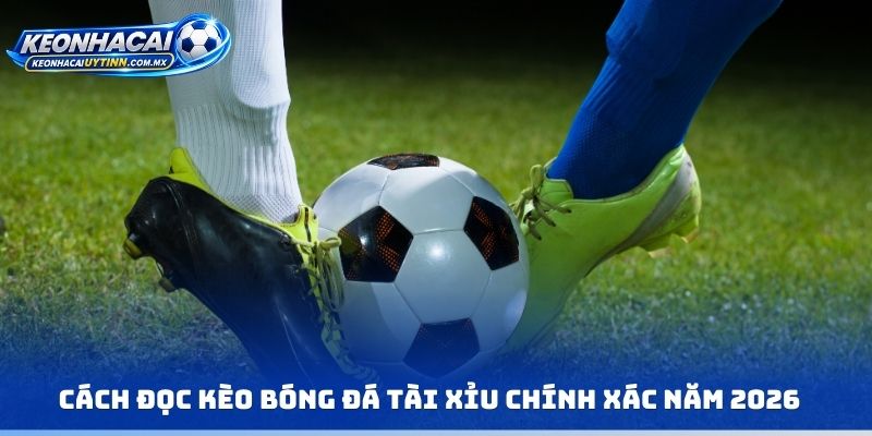 Cách đọc kèo bóng đá tài xỉu chính xác năm 2026