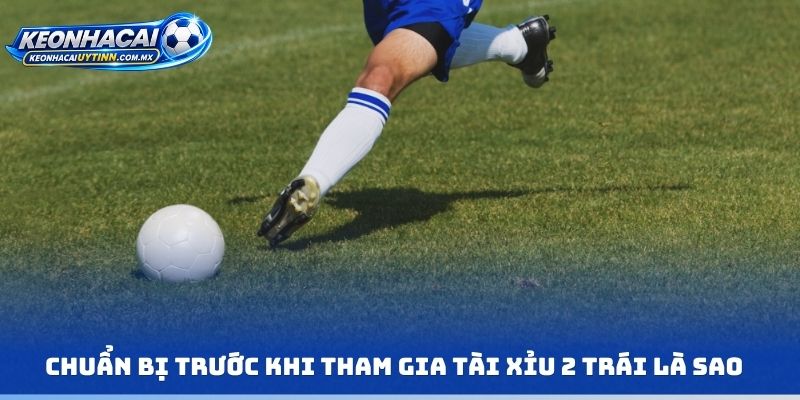 Chuẩn bị trước khi tham gia tài xỉu 2 trái là sao