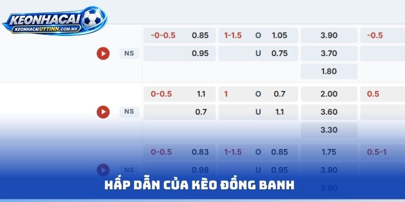Hấp dẫn của kèo đồng banh