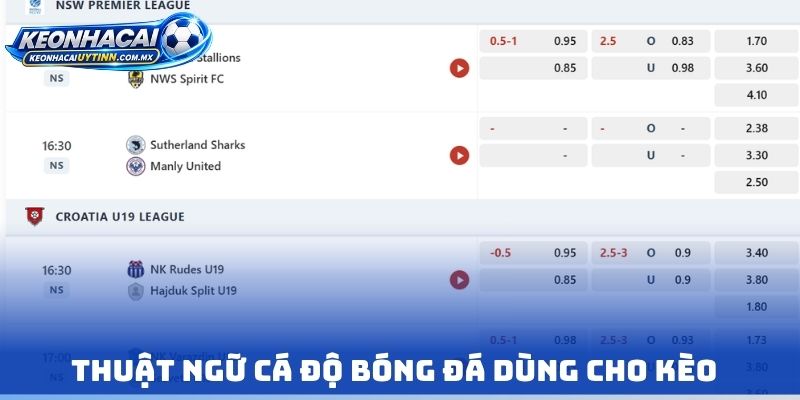 Thuật ngữ cá độ bóng đá dùng cho kèo