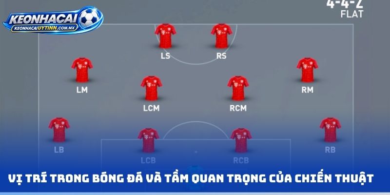 Vị trí trong bóng đá và tầm quan trọng của chiến thuật 